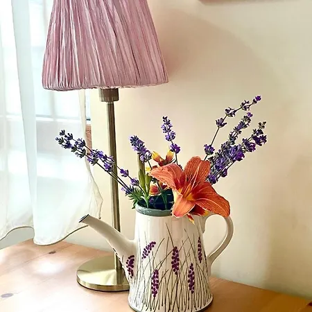 Our House In The Town