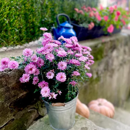 Our House In The Town *