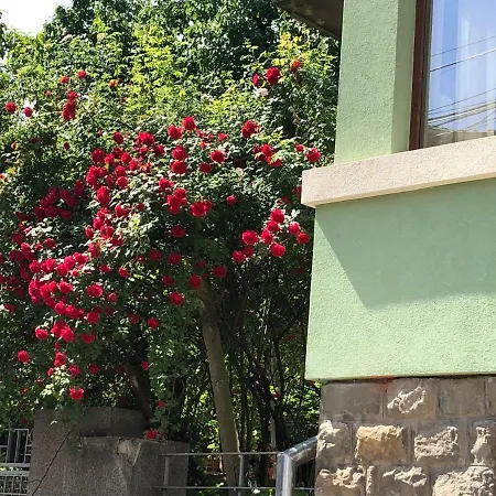 Our House In The Town アパート