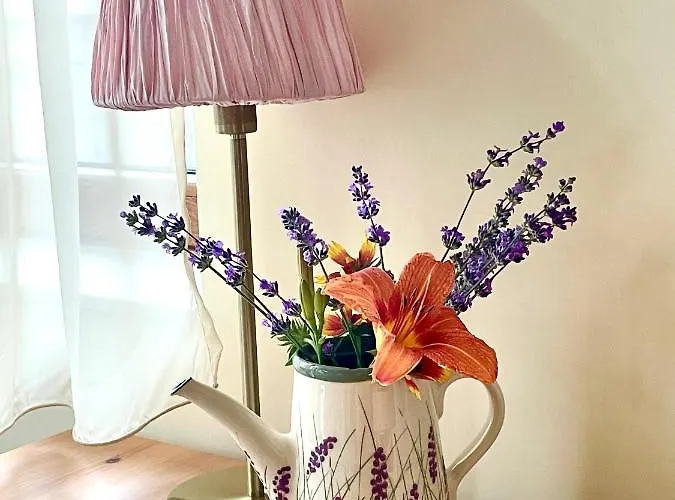 Our House In The Town