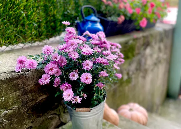 Our House In The Town *