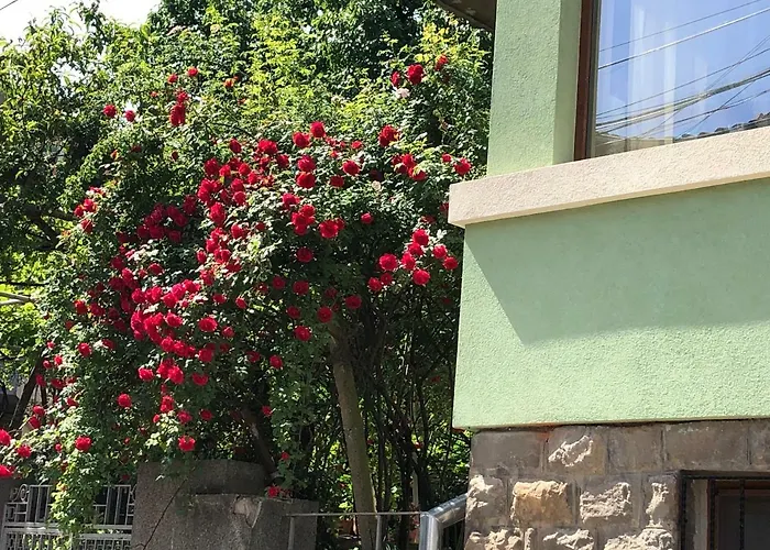 Our House In The Town Apartment